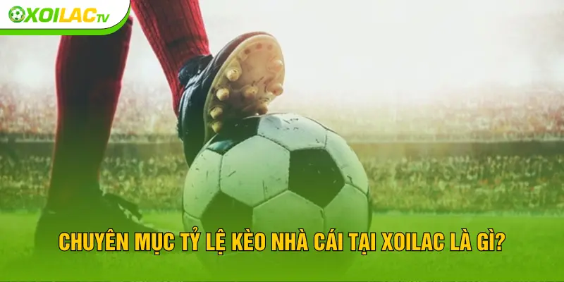Chuyên mục tỷ lệ kèo nhà cái tại XOILAC là gì?