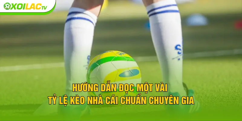 Hướng dẫn đọc một vài tỷ lệ kèo nhà cái chuẩn chuyên gia