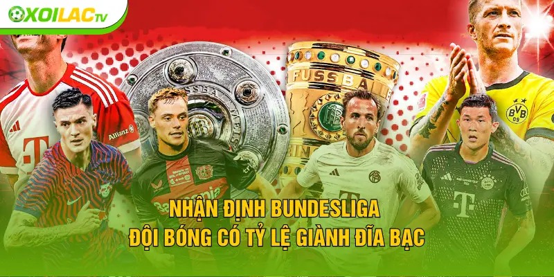 Nhận định Bundesliga đội bóng có tỷ lệ giành đĩa bạc