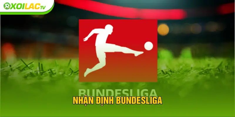 Nhận Định Bundesliga - Cuộc Đua Của Bayern Và Các Đối Thủ