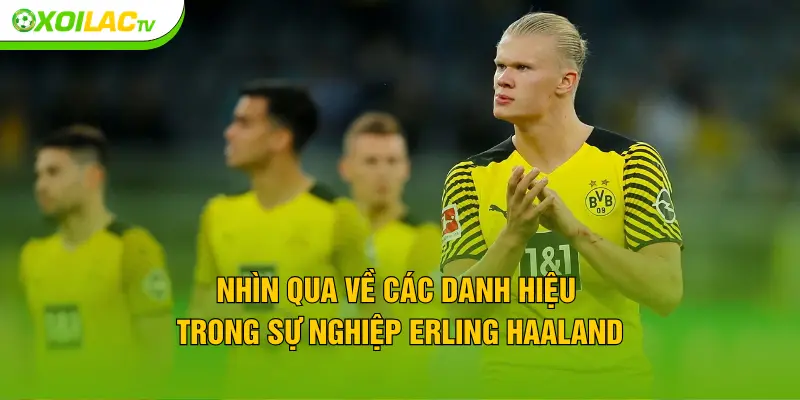 Nhìn qua về các danh hiệu trong sự nghiệp Erling Haaland