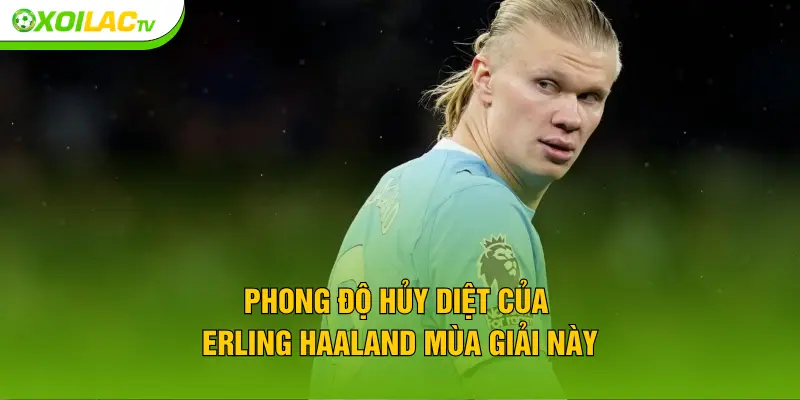Phong độ hủy diệt của Erling Haaland mùa giải này