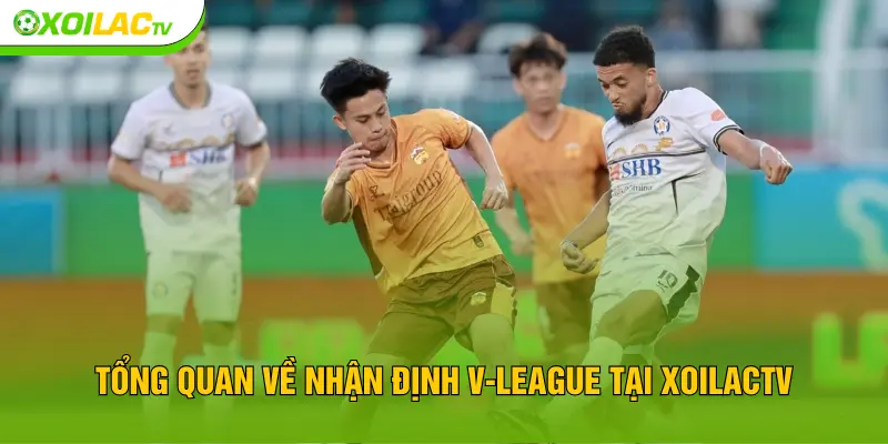Tổng quan về nhận định V-League tại XOILACTV